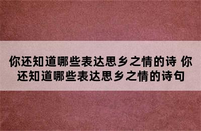 你还知道哪些表达思乡之情的诗 你还知道哪些表达思乡之情的诗句